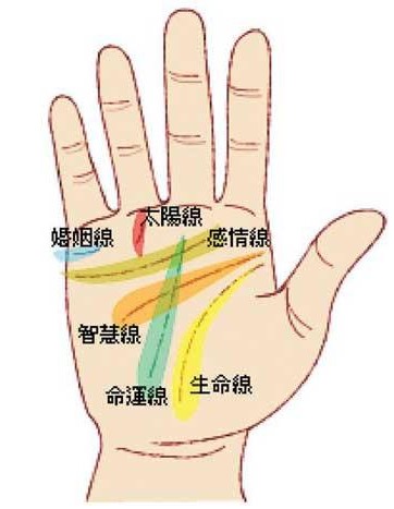 手相学历线是那根 手相图解大全智慧线