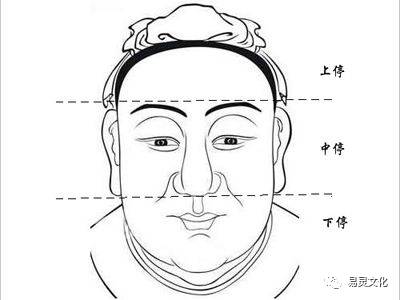 两个耳朵不对称相学_痣相学图解_耳朵相学图解类型