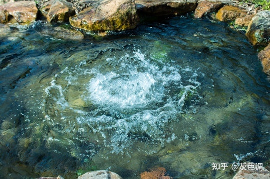 土人景观 俞孔坚 沈阳大学稻田景观_商业广场景观风水_景观风水