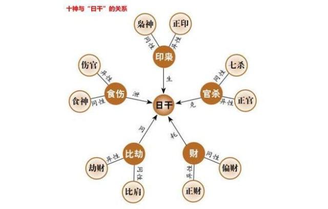 免弗四柱八字十神算命 学八字务必掌握的四大基础