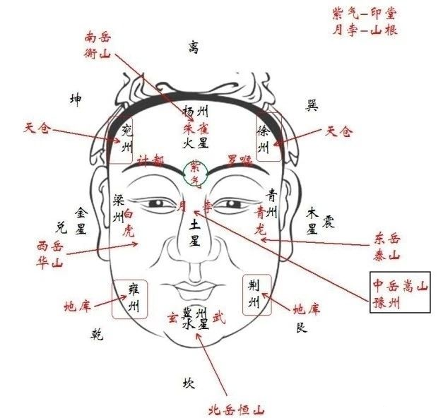 
一张男人右旋、女人左旋来看