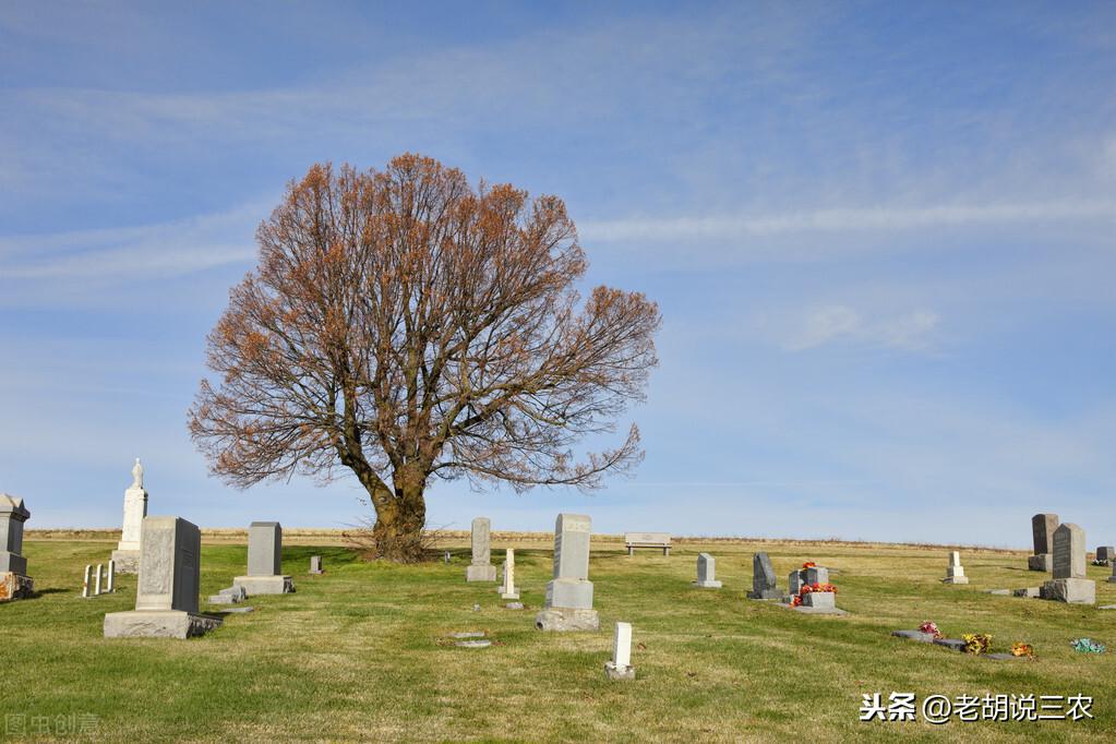 画的葫芦画风水 这句俗语所要的意思是什么？俗语的说法是这样的