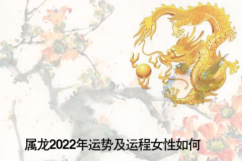 属龙的人2023年每月的运势运程好好运势，本月属龙人压力沉重