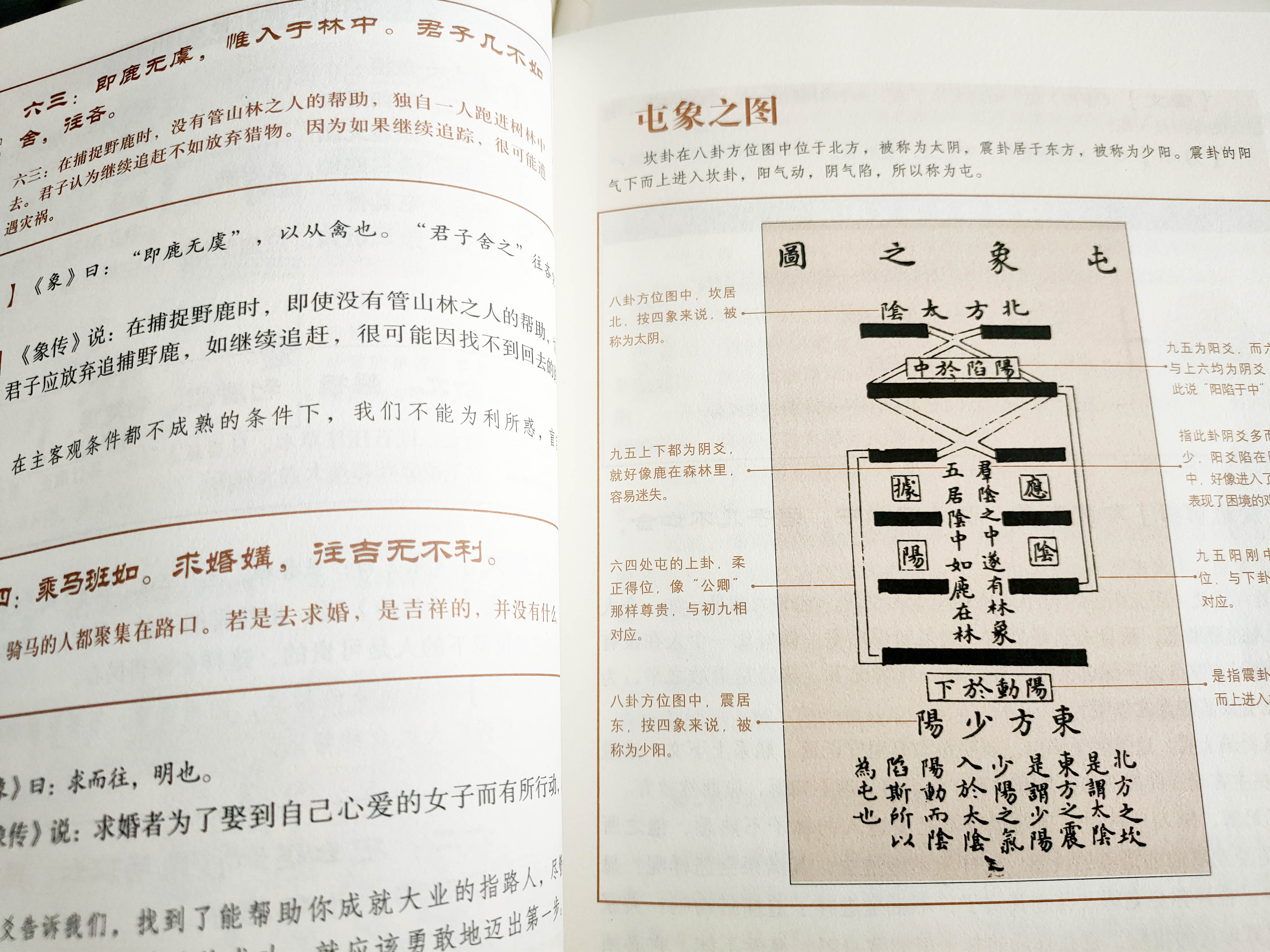 《易经》中最正确的顺天应人，适时而动