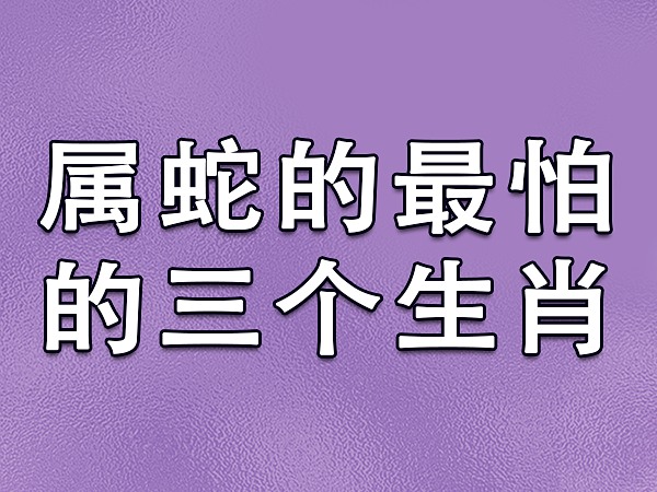 蛇太太天生自命不凡，追求完美脱俗的境界