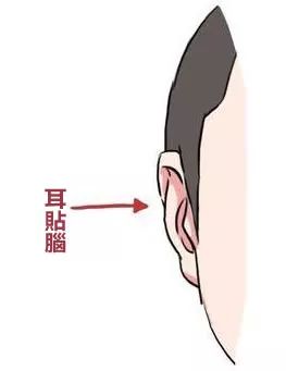 耳朵面相算命图解耳的标准与眉同高与鼻同长