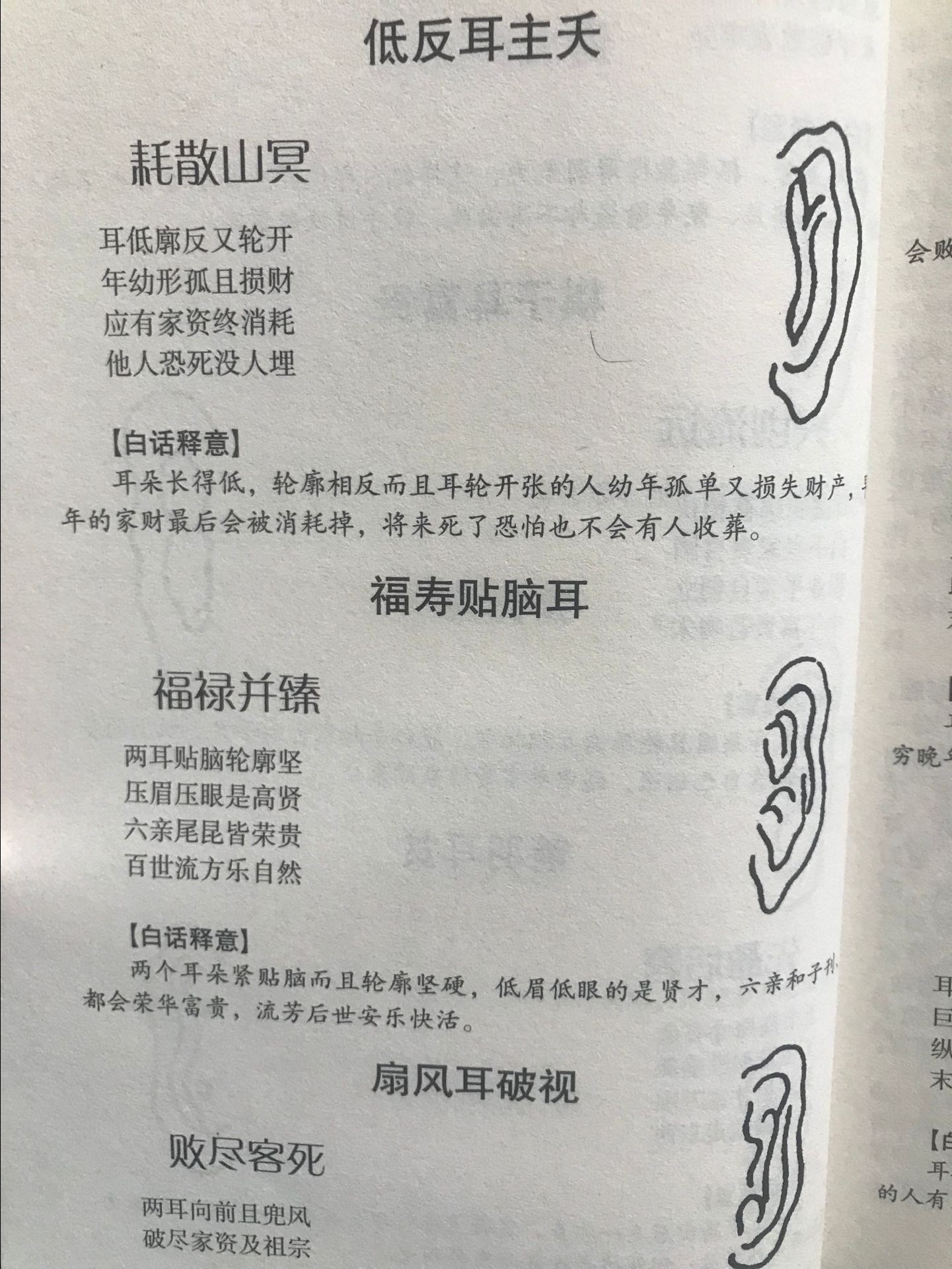 耳朵面相算命图解耳的标准与眉同高与鼻同长