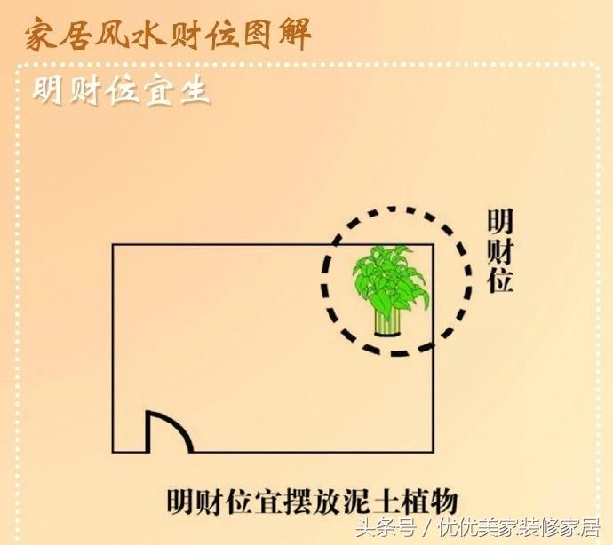 慈世堂:住宅种植花草有讲究，二烟冀泄夂献头懦巧