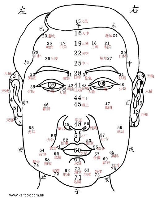 怎么看泪堂的面相算命呢？不了解的话！