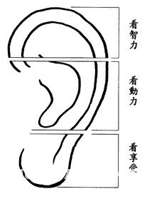 耳朵面相算命图解