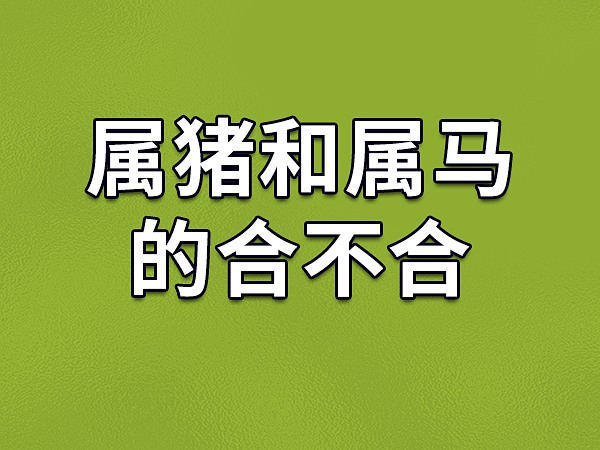 属猪人生于哪天更好生于农历几日