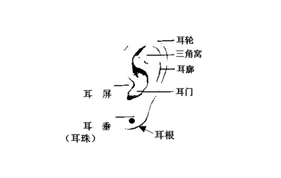 女人耳朵长痣代表什么耳朵有痣有什么含义？