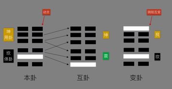 梅花易数体用比和