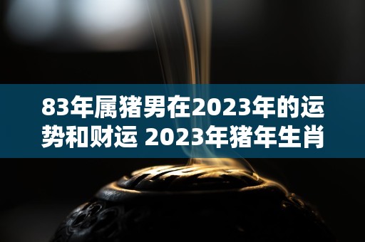 2023年属猪男的运势和财运怎么样呢？