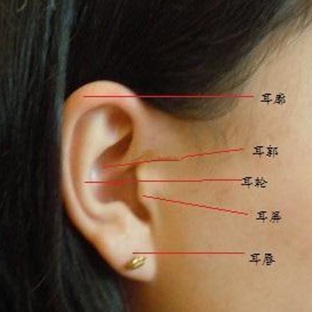 听觉良好者可以辨别五音、接触到重要性的面相